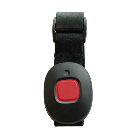 TWIG Remote Button